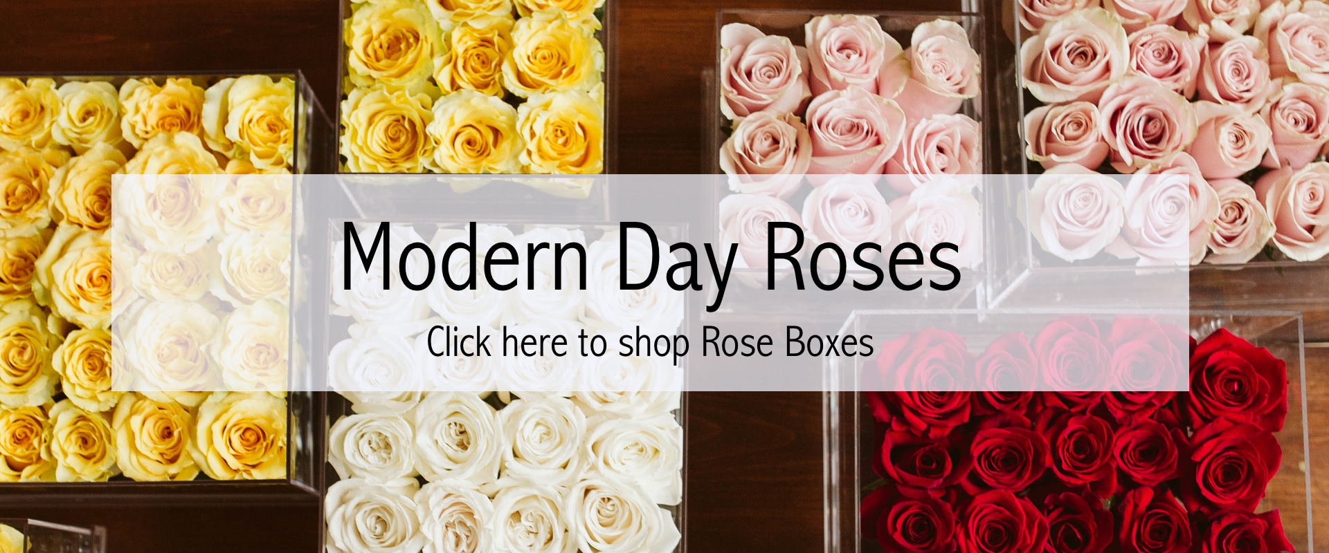 Rose Boxes